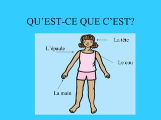 QU’EST-CE QUE C’EST? L’épaule La tête Le cou La main 