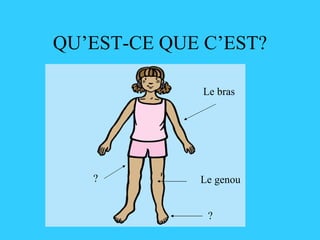 QU’EST-CE QUE C’EST? Le bras ? ? Le genou 