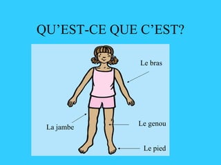 QU’EST-CE QUE C’EST? Le bras Le pied La jambe Le genou 
