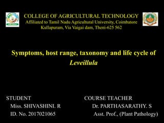 COLLEGE OF AGRICULTURAL TECHNOLOGY
Affiliated to Tamil Nadu Agricultural University, Coimbatore
Kullapuram, Via Vaigai dam, Theni-625 562
Symptoms, host range, taxonomy and life cycle of
Leveillula
STUDENT COURSE TEACHER
Miss. SHIVASHINI. R Dr. PARTHASARATHY. S
ID. No. 2017021065 Asst. Prof., (Plant Pathology)
 