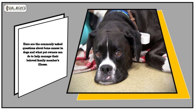 Symptoms of Bone Cancer in Dogs