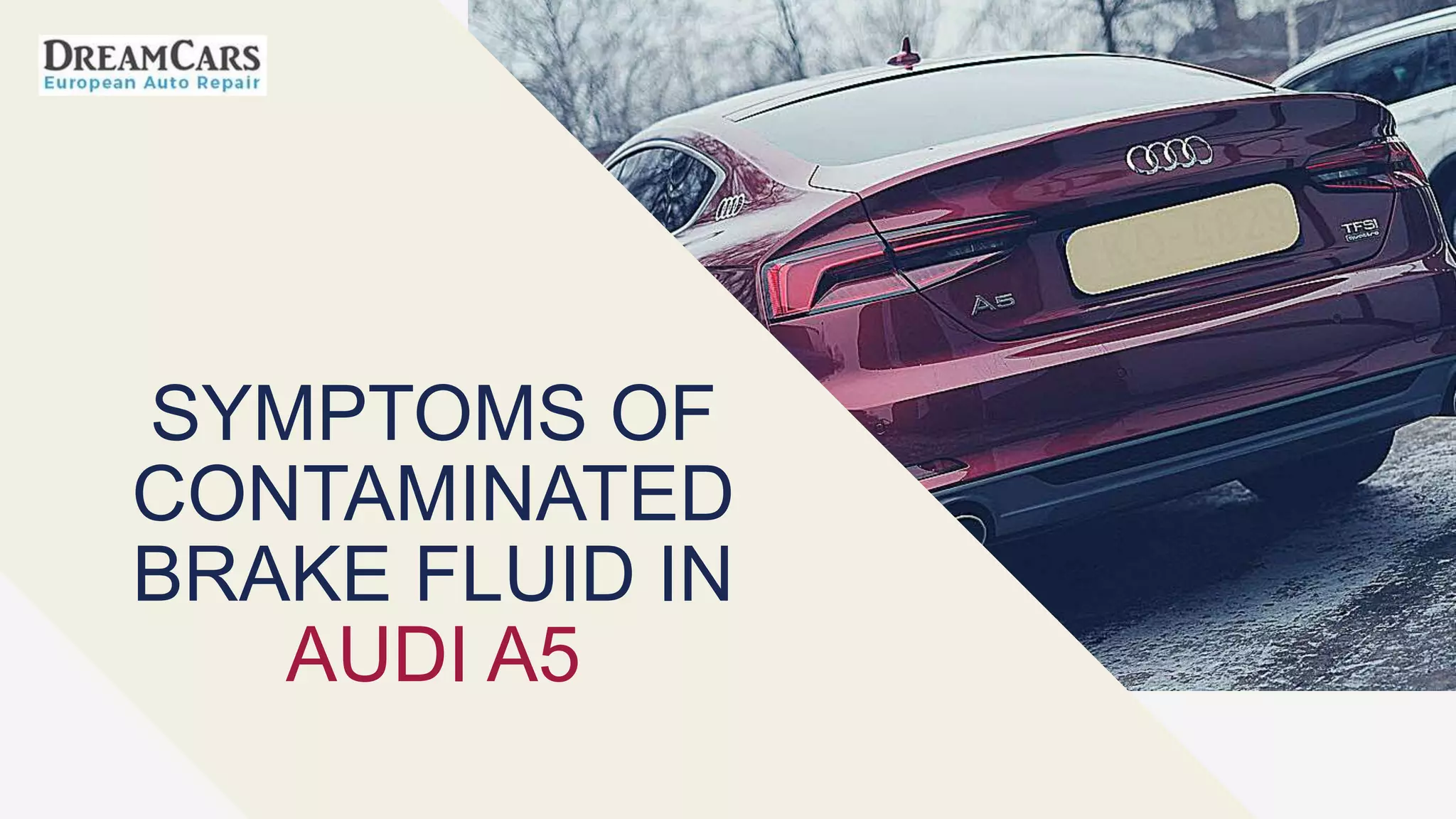 Symptoms of Contaminated Brake Fluid in Audi A5 PPT