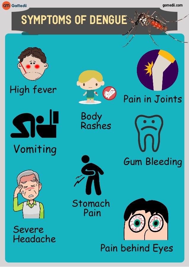 Symptoms of dengue