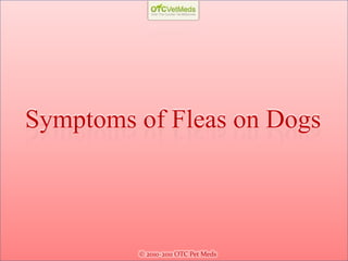 Symptoms of Fleas on Dogs



         © 2010-2011 OTC Pet Meds
 