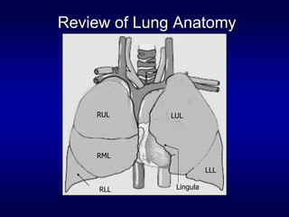 Common Symptoms of pulmonary diseases1.ppt