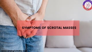 SYMPTOMS OF SCROTAL MASSES
www.urologistindia.com
 