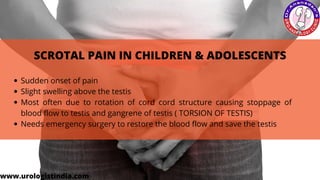 SCROTAL PAIN IN CHILDREN & ADOLESCENTS
Sudden onset of pain
Slight swelling above the testis
Most often due to rotation of cord cord structure causing stoppage of
blood flow to testis and gangrene of testis ( TORSION OF TESTIS)
Needs emergency surgery to restore the blood flow and save the testis
www.urologistindia.com
 