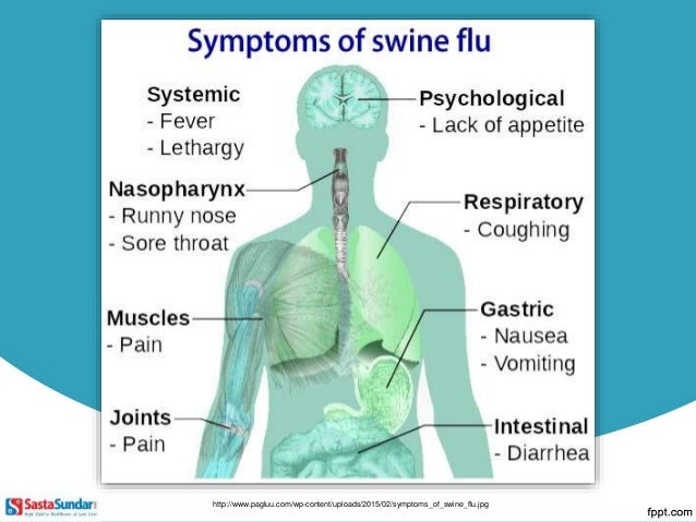 Swine Flu Is Caused By Mosquito Bite Symptoms of Swine Flu