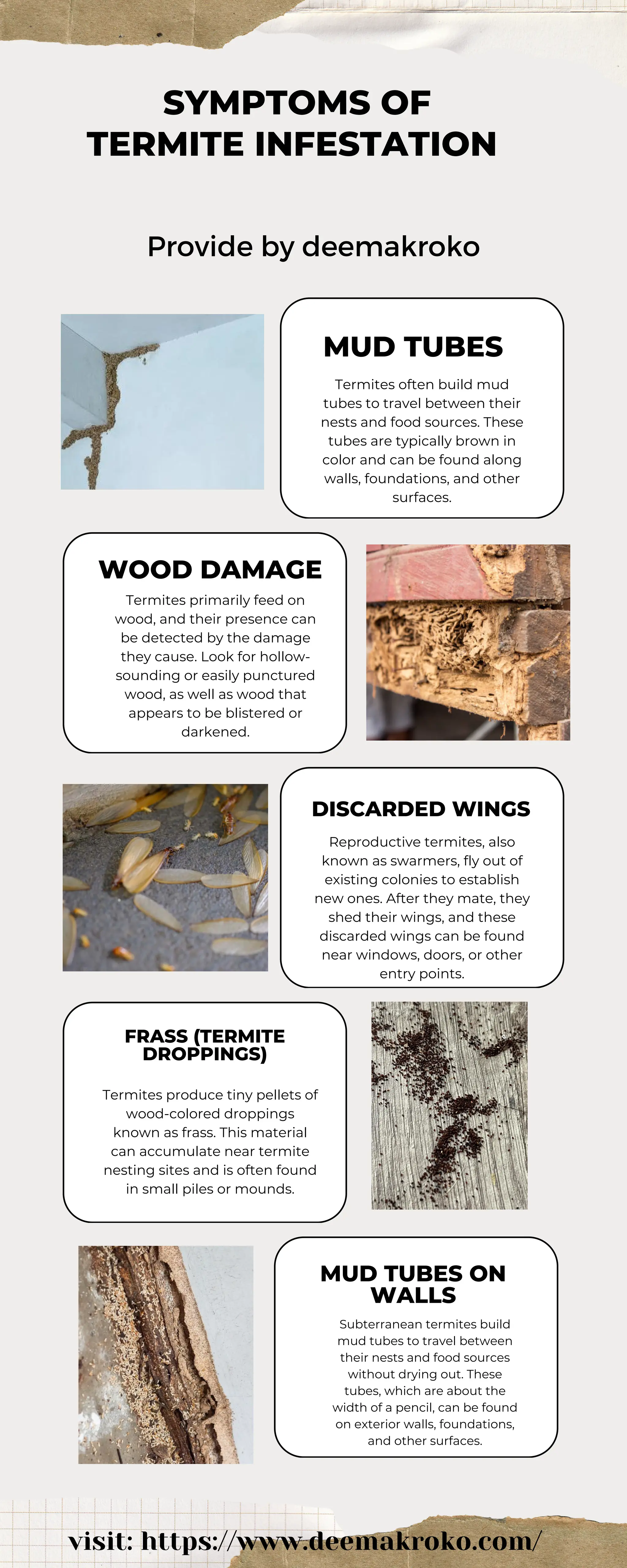 The Most of Symptoms of Termite Infestation | PDF