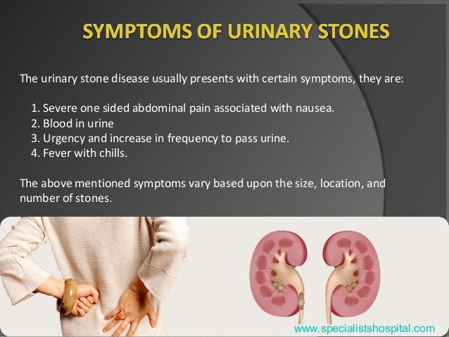 urinary stones under fontanacountryinn com urinary stones