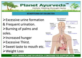 SYMPTOMS OF DIABETES

Excessive urine formation
& Frequent urination.
Burning of palms and
soles.
Increased hunger
Exc...