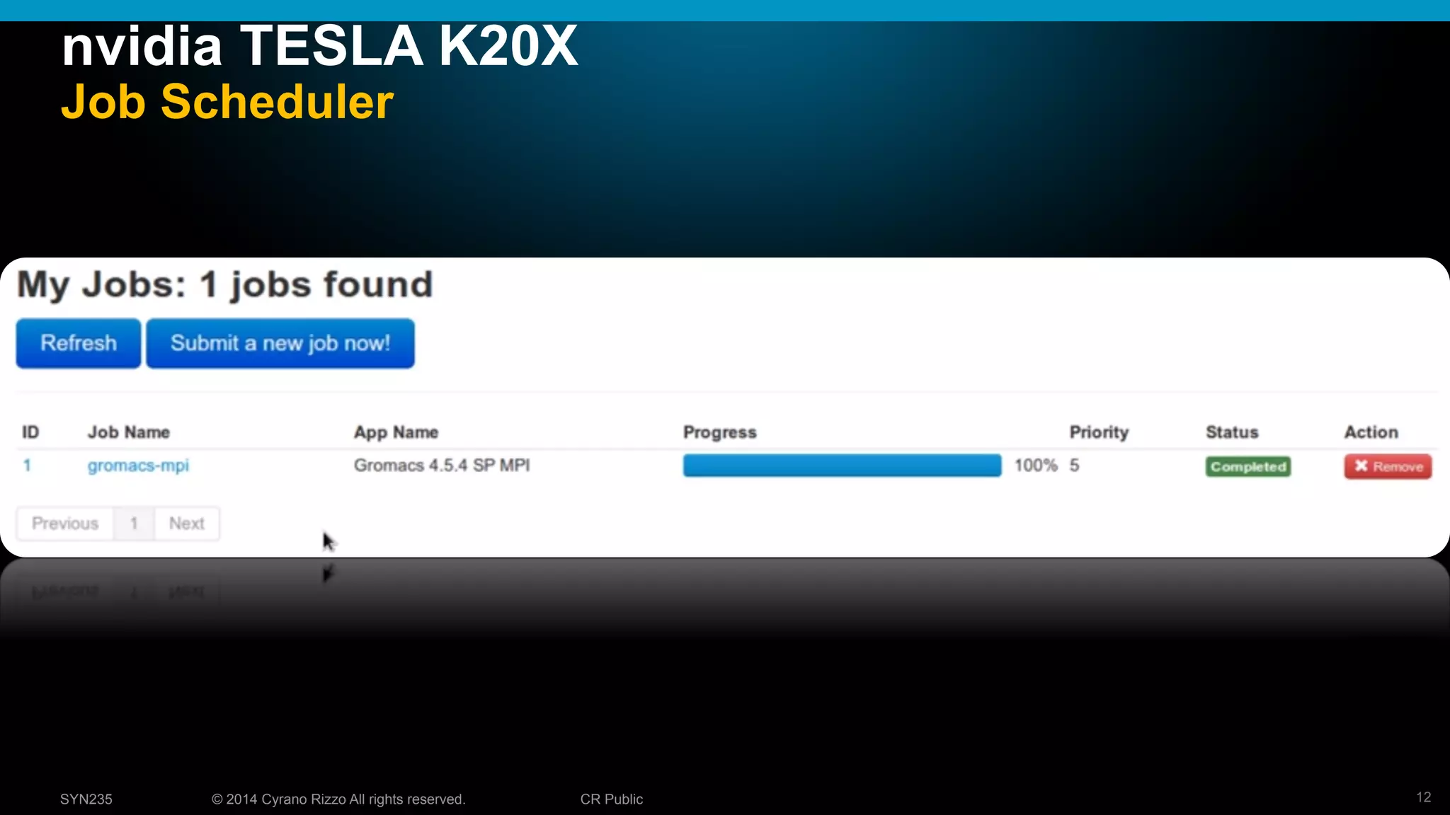 12© 2014 Cyrano Rizzo All rights reserved. CR PublicSYN235
nvidia TESLA K20X
Job Scheduler
 