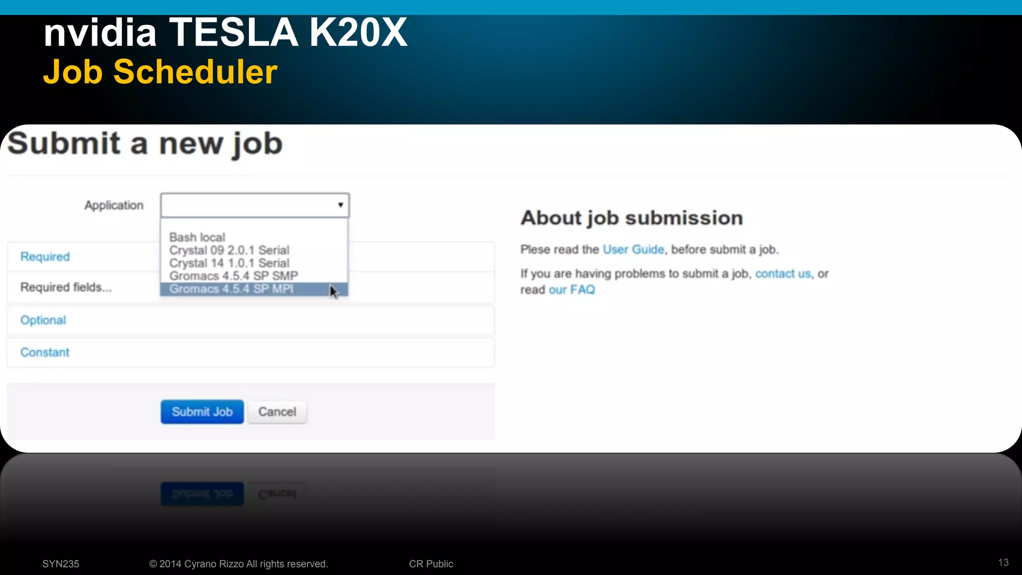 13© 2014 Cyrano Rizzo All rights reserved. CR PublicSYN235
nvidia TESLA K20X
Job Scheduler
 