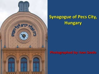 Synagogue of Pecs City, Hungary Photographed by: Ivan Szedo 