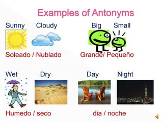 Sunny Cloudy Big Small
Soleado / Nublado Grande/ Pequeño
Wet Dry Day Night
Humedo / seco dia / noche