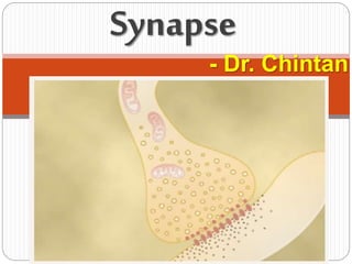 - Dr. Chintan
Synapse
 