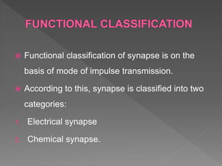 Synapse | PPTX
