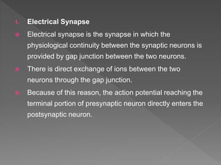 Synapse | PPTX