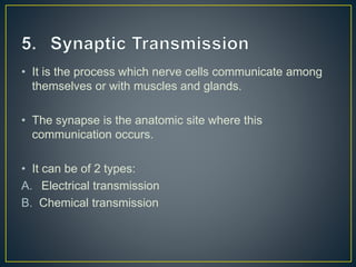 • It is the process which nerve cells communicate among
themselves or with muscles and glands.
• The synapse is the anatomic site where this
communication occurs.
• It can be of 2 types:
A. Electrical transmission
B. Chemical transmission
 