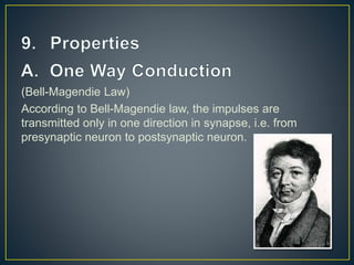 (Bell-Magendie Law)
According to Bell-Magendie law, the impulses are
transmitted only in one direction in synapse, i.e. from
presynaptic neuron to postsynaptic neuron.
 