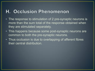 • The response to stimulation of 2 pre-synaptic neurons is
more than the sum total of the response obtained when
they are stimulated separately.
• This happens because some post-synaptic neurons are
common to both the pre-synaptic neurons.
• Thus occlusion is due to overlapping of afferent fibres
their central distribution.
 