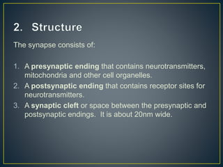 The synapse consists of:
1. A presynaptic ending that contains neurotransmitters,
mitochondria and other cell organelles.
2. A postsynaptic ending that contains receptor sites for
neurotransmitters.
3. A synaptic cleft or space between the presynaptic and
postsynaptic endings. It is about 20nm wide.
 
