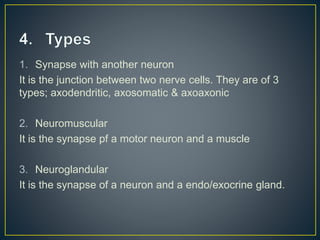 1. Synapse with another neuron
It is the junction between two nerve cells. They are of 3
types; axodendritic, axosomatic & axoaxonic
2. Neuromuscular
It is the synapse pf a motor neuron and a muscle
3. Neuroglandular
It is the synapse of a neuron and a endo/exocrine gland.
 