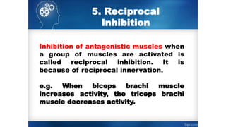 5. Reciprocal
Inhibition
Inhibition of antagonistic muscles when
a group of muscles are activated is
called reciprocal inhibition. It is
because of reciprocal innervation.
e.g. When biceps brachi muscle
increases activity, the triceps brachi
muscle decreases activity.
 