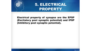 5. ELECTRICAL
PROPERTY
Electrical property of synapse are the EPSP
(Excitatory post synaptic potential) and IPSP
(Inhibitory post synaptic potential).
 