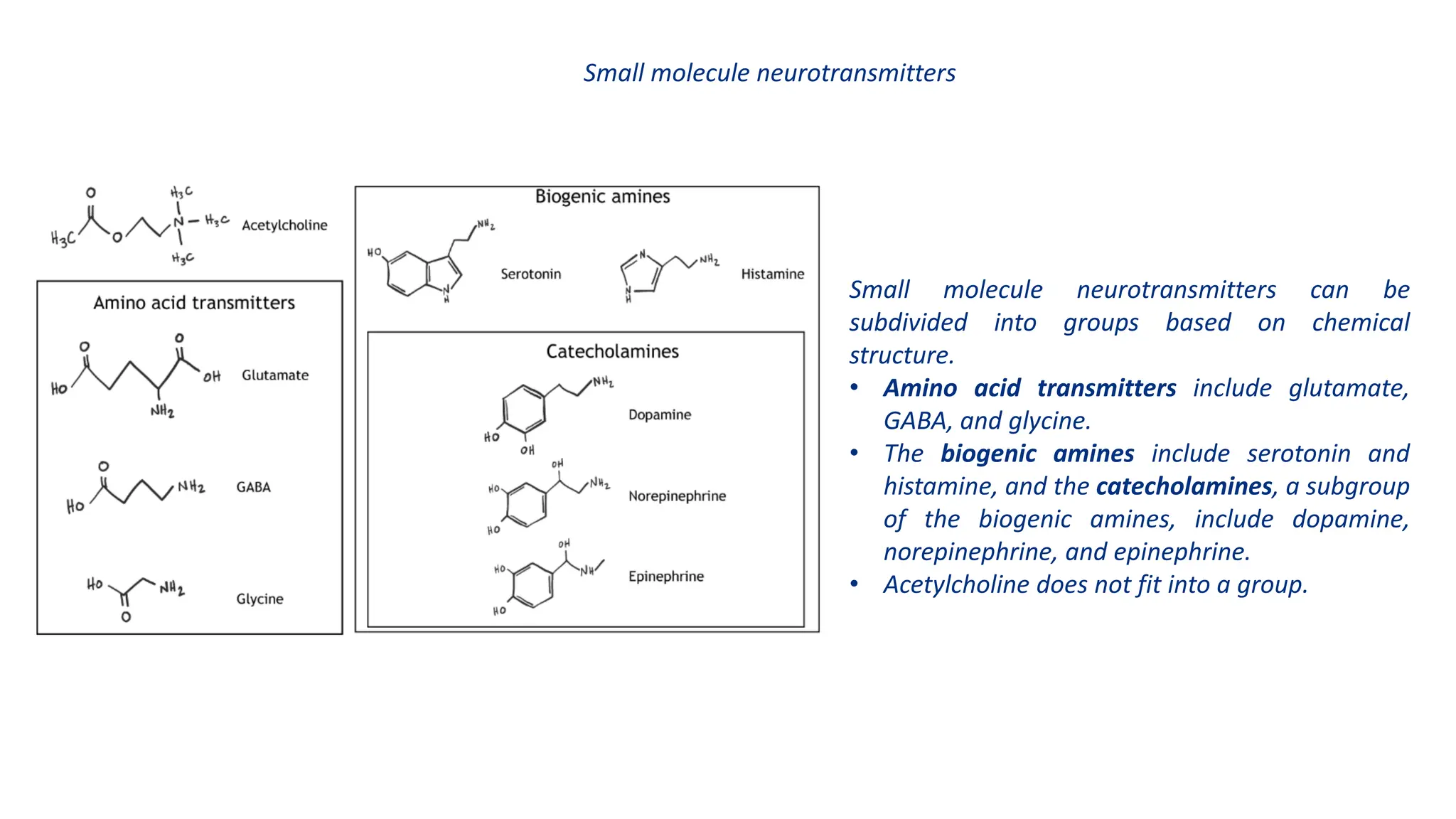synapse types and classification and .pdf