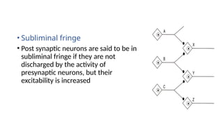 • Subliminal fringe
• Post synaptic neurons are said to be in
subliminal fringe if they are not
discharged by the activity of
presynaptic neurons, but their
excitability is increased
 