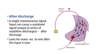 • After discharge
• A single instantaneous signal
input can cause a sustained
signal output (a series of
repetitive discharges) – after
discharge
• Lasts for many ms to min after
the input is over
 