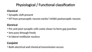 Physiological / Functional classification
Chemical
• Synaptic cleft present
• NT from presynaptic neuron excite/ inhibit postsynaptic neuron
Electrical
• Pre and post synaptic cells come closer to form gap junction
• Ions pass through freely
• In lateral vestibular nucleus
Conjoint
• Both electrical and chemical transmission occurs
 