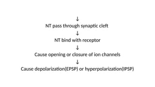 ↓
NT pass through synaptic cleft
↓
NT bind with receptor
↓
Cause opening or closure of ion channels
↓
Cause depolarization(EPSP) or hyperpolarization(IPSP)
 