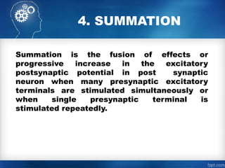 Comprehensive Overview of Synapse: Structure, Function, and Types | PPTX