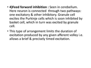 • 4)Feed forward inhibition : Seen in cerebellum.
Here neuron is connected through two pathways:
one excitatory & other inhibitory. Granule cell
excites the Purkinje cells which is soon inhibited by
basket cell, which in turn was excited by granule
cell.
• This type of arrangement limits the duration of
excitation produced by any given afferent volley i.e.
allows a brief & precisely timed excitation.
 