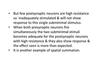 • But few postsynaptic neurons are high resistance
so inadequately stimulated & will not show
response to this single subminimal stimulus.
• When both presynaptic neurons fire
simultaneously the two subminimal stimuli
becomes adequate for the postsynaptic neurons
with high resistance & they also show response &
the effect seen is more than expected.
• It is another example of spatial summation.
 