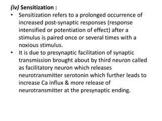 (iv) Sensitization :
• Sensitization refers to a prolonged occurrence of
increased post-synaptic responses (response
intensified or potentiation of effect) after a
stimulus is paired once or several times with a
noxious stimulus.
• It is due to presynaptic facilitation of synaptic
transmission brought about by third neuron called
as facilitatory neuron which releases
neurotransmitter serotonin which further leads to
increase Ca influx & more release of
neurotransmitter at the presynaptic ending.
 