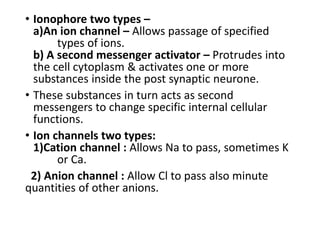 • Ionophore two types –
a)An ion channel – Allows passage of specified
types of ions.
b) A second messenger activator – Protrudes into
the cell cytoplasm & activates one or more
substances inside the post synaptic neurone.
• These substances in turn acts as second
messengers to change specific internal cellular
functions.
• Ion channels two types:
1)Cation channel : Allows Na to pass, sometimes K
or Ca.
2) Anion channel : Allow Cl to pass also minute
quantities of other anions.
 