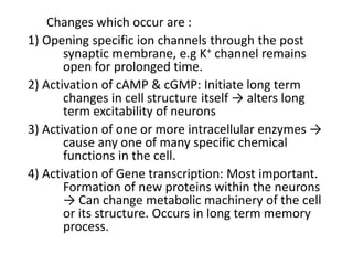 Changes which occur are :
1) Opening specific ion channels through the post
synaptic membrane, e.g K+ channel remains
open for prolonged time.
2) Activation of cAMP & cGMP: Initiate long term
changes in cell structure itself → alters long
term excitability of neurons
3) Activation of one or more intracellular enzymes →
cause any one of many specific chemical
functions in the cell.
4) Activation of Gene transcription: Most important.
Formation of new proteins within the neurons
→ Can change metabolic machinery of the cell
or its structure. Occurs in long term memory
process.
 
