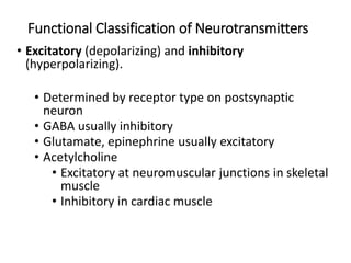 Functional Classification of Neurotransmitters
• Excitatory (depolarizing) and inhibitory
(hyperpolarizing).
• Determined by receptor type on postsynaptic
neuron
• GABA usually inhibitory
• Glutamate, epinephrine usually excitatory
• Acetylcholine
• Excitatory at neuromuscular junctions in skeletal
muscle
• Inhibitory in cardiac muscle
 