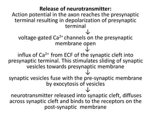 Release of neurotransmitter:
Action potential in the axon reaches the presynaptic
terminal resulting in depolarization of presynaptic
terminal
↓
voltage-gated Ca2+ channels on the presynaptic
membrane open
↓
influx of Ca2+ from ECF of the synaptic cleft into
presynaptic terminal. This stimulates sliding of synaptic
vesicles towards presynaptic membrane
↓
synaptic vesicles fuse with the pre-synaptic membrane
by exocytosis of vesicles
↓
neurotransmitter released into synaptic cleft, diffuses
across synaptic cleft and binds to the receptors on the
post-synaptic membrane
 