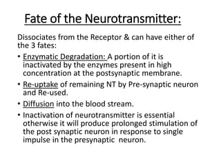 Fate of the Neurotransmitter:
Dissociates from the Receptor & can have either of
the 3 fates:
• Enzymatic Degradation: A portion of it is
inactivated by the enzymes present in high
concentration at the postsynaptic membrane.
• Re-uptake of remaining NT by Pre-synaptic neuron
and Re-used.
• Diffusion into the blood stream.
• Inactivation of neurotransmitter is essential
otherwise it will produce prolonged stimulation of
the post synaptic neuron in response to single
impulse in the presynaptic neuron.
 