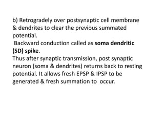 b) Retrogradely over postsynaptic cell membrane
& dendrites to clear the previous summated
potential.
Backward conduction called as soma dendritic
(SD) spike.
Thus after synaptic transmission, post synaptic
neuron (soma & dendrites) returns back to resting
potential. It allows fresh EPSP & IPSP to be
generated & fresh summation to occur.
 
