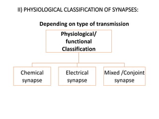 II) PHYSIOLOGICAL CLASSIFICATION OF SYNAPSES:
Physiological/
functional
Classification
Chemical
synapse
Electrical
synapse
Mixed /Conjoint
synapse
Depending on type of transmission
 