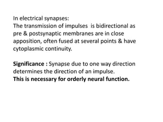 In electrical synapses:
The transmission of impulses is bidirectional as
pre & postsynaptic membranes are in close
apposition, often fused at several points & have
cytoplasmic continuity.
Significance : Synapse due to one way direction
determines the direction of an impulse.
This is necessary for orderly neural function.
 