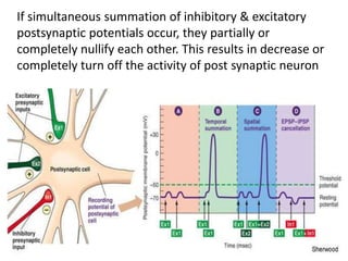 If simultaneous summation of inhibitory & excitatory
postsynaptic potentials occur, they partially or
completely nullify each other. This results in decrease or
completely turn off the activity of post synaptic neuron
 