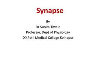 Synapse
By
Dr Sunita Tiwale
Professor, Dept of Physiology
D.Y.Patil Medical College Kolhapur
 
