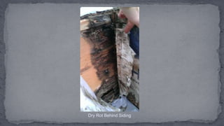 Dry Rot Behind Siding
 