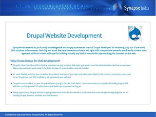 SynapseIndia Technologies- Website Development